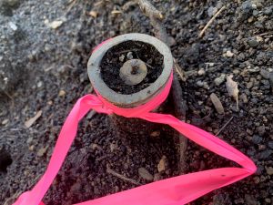 land survey monument